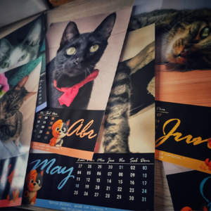 Calendario Personalizado Tipo Álbum (20 x 29 cm)